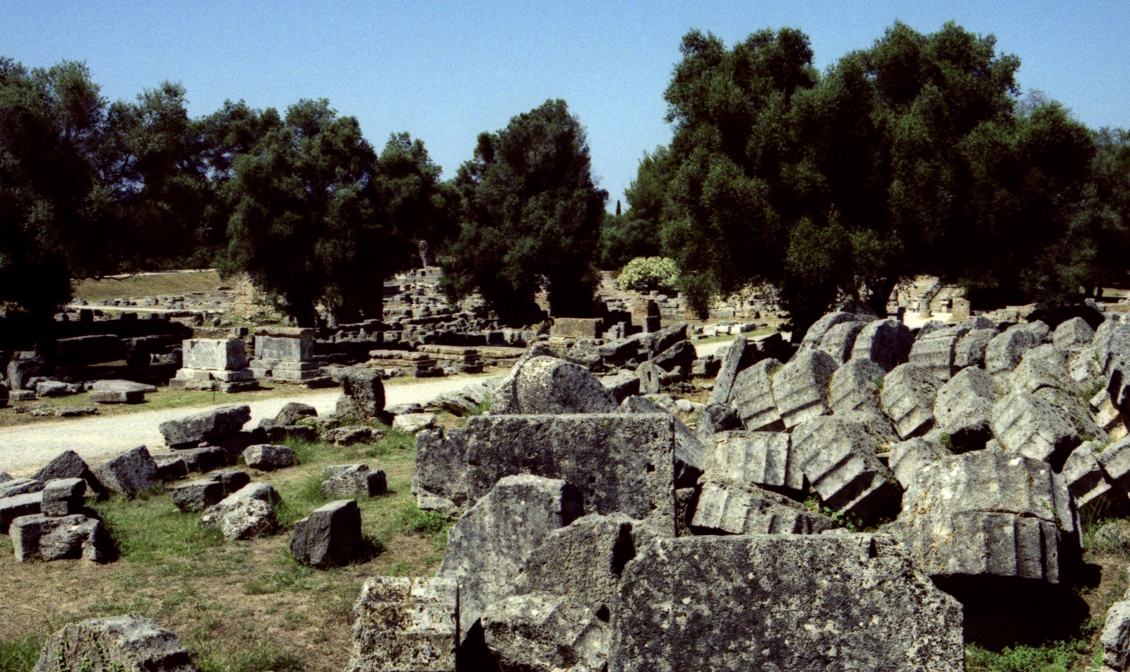 Olympia, cross process technique